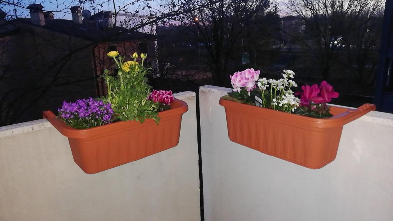 Appartamento Con Due Camere Da Letto E Free Park Vérone Extérieur photo
